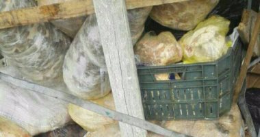 التموين تضبط 250 كجم لحوم ودواجن فاسدة من مطعم غير مرخص بالعجوزة