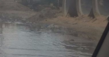 طفح مياه المجارى بشارع النبوى المهندس فى حى المنتزه بالإسكندرية
