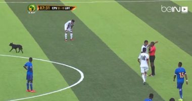 بالفيديو.. "كلب" يمنع ليبيا من هز شباك كاب فيردى فى تصفيات أمم أفريقيا