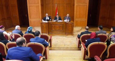 نائب: التعاون والتفاعل مع البرلمانات الإفريقية ضرورى 