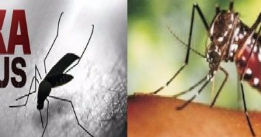 أدلة جديدة على أن فيروس زيكا يسبب ضررا أكبر من مرض صغر حجم الرأس