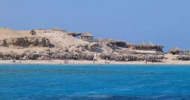 كنوز البحر الأحمر تبحث عن التجربة الإندونيسية.. 5 جزر قبالة شواطئ مصر الشرقية مؤهلة لمنافسة "بالى ولومبوك".. الجفتون برمالها الناعمة وطيورها النادرة.. شدوان وشعابها المرجانية.. الفنادير متعة الغوص للمبتدئين