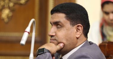 النائب خالد حنفى: أرفض ضم أعضاء من الحكومة ضمن تشكيل مجلس شئون الإعاقة