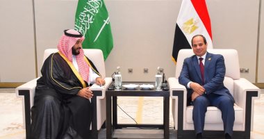 السيسي يلتقى محمد بن سلمان.. ويؤكد أهمية تعزيز الشراكة بين البلدين