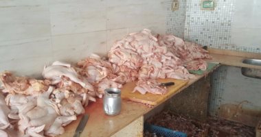 ضبط 3 طن لحوم دجاج غير صالحة للاستهلاك فى مجزر دواجن بدون ترخيص