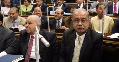 بالصور..  البرلمان يوافق على منحة توصيل الغاز لـ2.4 مليون منزل.. ويشكر الحكومة