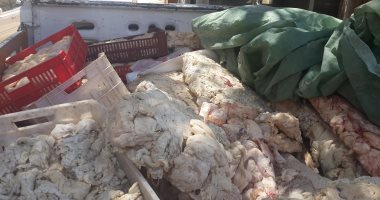 بالفيديو..ضبط 1200 كيلو لحوم ودهون غير صالحة للاستهلاك الآدمى بالفيوم