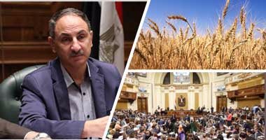 رئيس لجنة تقصى حقائق القمح: تسليم 330 ألف مستند لـ7 جهات تحقيق
