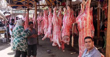 طرح طن و395 كيلو من اللحوم و الدواجن بمغاغة بالمنيا