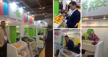 المعارض الدولية سلاح مصر لمواجهة معركة ضرب الصادرات.. المشاركة فى معرضى موسكو وهونج كونج ساهمت فى تخفيف حدة الشائعات عن الحاصلات الزراعية.. وخطة لوزارة التجارة لغزو 6 معارض كبرى 