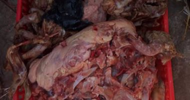 ضبط لحوم غير صالحة للاستهلاك فى حملة مكبرة للرقابة الإدارية بطنطا
