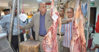 محافظ الوادى الجديد يتفقد المرافق الحيوية استعدادا لاستقبال العيد
