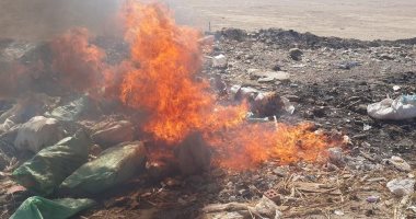 إعدام لحوم فاسدة بالفيوم قبل ساعات من عيد الأصحى المبارك