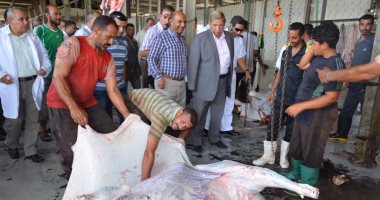 بالصور.. محافظ الإسماعيلية يتفقد المجزر الآلى بالمنطقة الصناعية