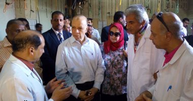 محافظ القاهرة يبدأ جولته بالمجزر الآلى.. ويستمع لمسئولى الطب البيطرى