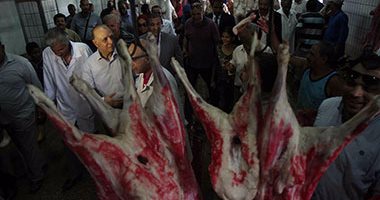محافظ القاهرة يوجه بتوفير الحماية اللازمة لأطباء المجزر الآلى فى البساتين