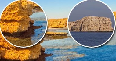 بمناسبة حلول عيد الأضحى المبارك.. دخول المحميات الطبيعية بنصف التذكرة.. 5 محميات أغلى تذكرة لها بـ 2 جنيه ونصف و25 محمية "مجانًا".. ومسئول بالوزارة: نستهدف دعم المواطن وتشجيعه لرؤية عراقة تراث بلده