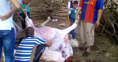 رفع مخلفات ذبح الأضاحى بشوارع السويس