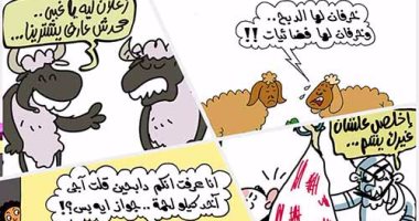 اضحك على ما تفرج.. الحمير تغزو أسواق اللحوم فى عيد الأضحى