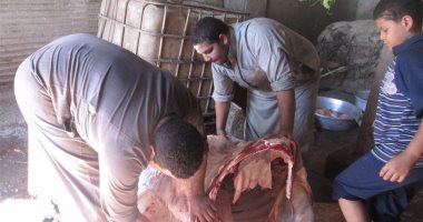خلى بالك.. السنط والأمراض الفيروسية تنتشر من ملامسة الذبائح فى عيد الأضحى