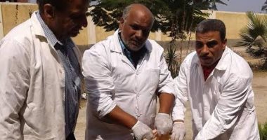 الطب البيطرى بالدقهلية يتابع ذبح الأضاحى بالمجازر.. وإعدام لحوم فاسدة