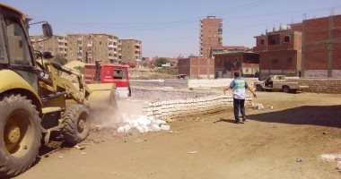 إزالة 38 حالة تعد على الأراضى الزراعية وأملاك الدولة بالبحيرة