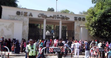 "الزراعة": مولود جديد لـ"أبو عدس" المهدد بالانقراض بحديقة حيوان الجيزة