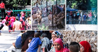 إقبال كثيف على حديقة الحيوان بالجيزة