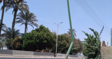 قارئ يشكو من إمالة إحدى أعمدة الكهرباء فى البدرشين بالجيزة