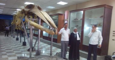 بالفيديو والصور.. حيوانات بحرية نادرة بمتحف ومحطة البحوث المائية ببلطيم