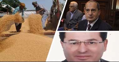 التفاصيل الكاملة لقرار روسيا بمنع استيراد المنتجات الزراعية من مصر.. "التصديرى للحاصلات": موسكو تربط بين استقبال المنتجات المصرية وإدخال شحنات القمح المصاب بالإرجوت.. وتتحجج بجهل الإجراءات الجديدة