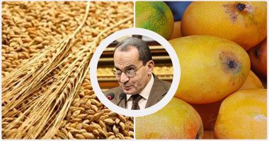 عادل السنهورى يكتب:"الأرجوت".. مين بياخد القرار وإزاى؟..يبدو أن المسئول متخذ قرار وقف استيراد شحنات القمح "مش ضليع" فى شئون الاتفاقيات والمحاكم الدولية وربما يكون "جاهل" لأن قراره "لبسنا" فى أزمة كبرى