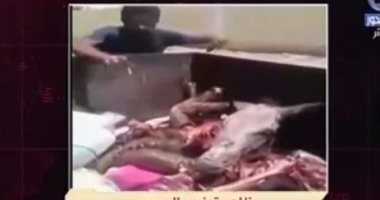 بالفيديو .."بقايا لحم حمار مشفى بصناديق قمامة".. ومواطن: "الناس قربت تنهق"