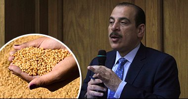 "الصحة": 100% من عينات القمح المعد للطحن خالية من الأرجوت.. عمرو قنديل: 187 دولة و20 هيئة حكومية أقرت نسبة 0.05% من الفطر بالقمح الخام.. ويؤكد: الحديث عن تسببه فى الإصابة بالسرطان شائعات
