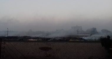 أهالى زفتى يشتكون من حرق القمامة بمدخل المدينة
