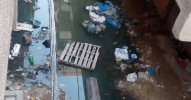 طفح مياه الصرف الصحى بشارع الأفنان بحى العجمى بالإسكندرية