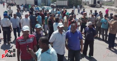بالفيديو والصور.. اعتصام مئات الصيادين بالسويس للمطالبة بالحصول على تصاريح