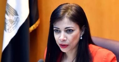 "الاستثمار": ننسق مع وزارات الإسكان والصناعة والمالية حول القانون الجديد