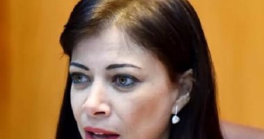 "الاستثمار" تنتهى من البت فى 12 قطعة أرض للمستثمرين بمطروح خلال أسبوع 