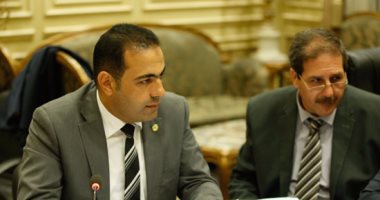وكيل شباب النواب: استقرار مصر مهم للمنطقة وأوروبا باعتراف دولى