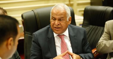 "لجنة الشباب" بالبرلمان تؤكد أهمية عودة الجماهير خلال 3 أشهر على أقصى تقدير