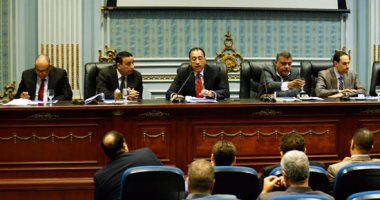 نائب يحذر من أطراف على الأرض تحرك الناس ضد الدولة فى ازمة الخبز