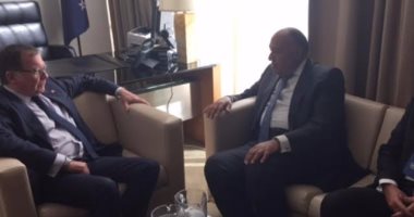 سامح شكرى يبحث مع الرئيس الحالى لمجلس الأمن جهود مصر لتسوية الأزمة الليبية