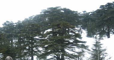 3 مناطق عربية على قائمة التراث العالمى مهددة بسبب تغير المناخ
