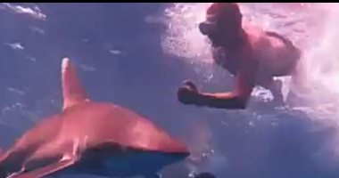 وزير البيئة لـ"اليوم السابع": قرش شرم الشيخ خطر ومحاولة اللعب معه استهتار.. خالد فهمى: ألوم من تركوا السائحين يقتربون منه ونحمد الله أنه لم يؤذ أحدا..ويؤكد: نظيره بالغردقة مسالم والمصريون يسمونه بهلول