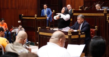ممثلو ذوى الإعاقة ينتقدون غياب نوابهم عن جلسة الحوار المجتمعى بالبرلمان