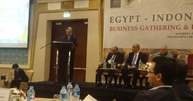 سفير أندونيسيا بالقاهرة: 915 مليون دولار حجم التجارة بين البلدين فى 7 أشهر
