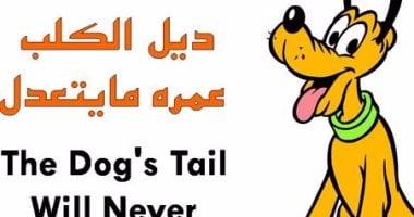 ديل الكلب عمره مايتعدل..20 مثلا شعبيا لعبت فيها الحيوانات دور البطولة