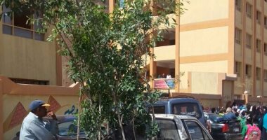 بالصور... نظافة الجيزة تزرع محيط المدارس بالتزامن مع بدء الدراسة