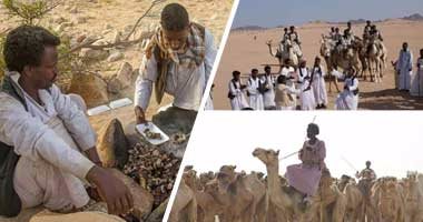 الشيحى يفتتح المنتدى الأول لتسويق مخرجات البحث العلمى اليوم